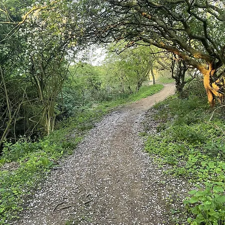 Bumblebee Cove- 2 1 Minute - Part Of The The Bay Village With Pool, Gym And Direct Access, Pub, Restaurant, Tennis And Meadows Walks * Filey